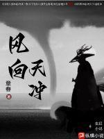 风向天冲纵横中文网 风向天冲纵横中文网